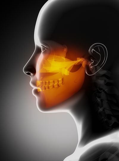 Oral Maxillofacial Diagram